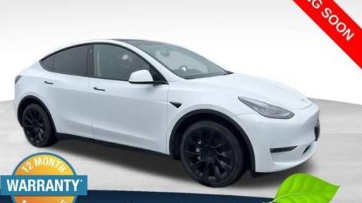 TESLA MODEL Y 2021 5YJYGDEE6MF278791 image